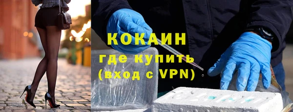 гидра Володарск
