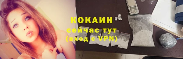 гидра Володарск