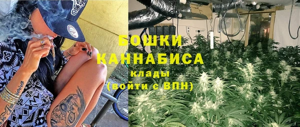 гидра Володарск